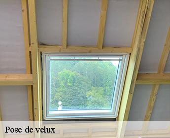 Pose de velux Loir-et-Cher 