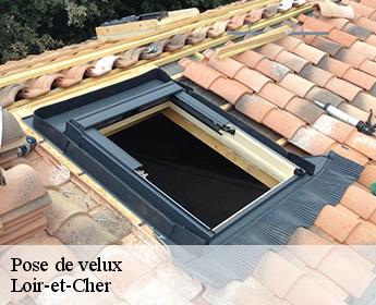 Pose de velux Loir-et-Cher 