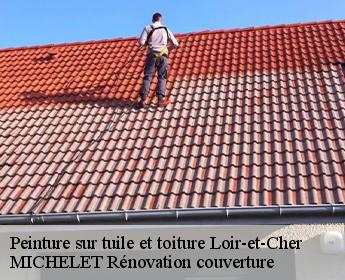 Peinture sur tuile et toiture 41 Loir-et-Cher  MICHELET Rénovation couverture