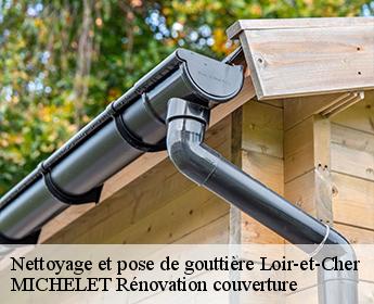 Nettoyage et pose de gouttière 41 Loir-et-Cher  MICHELET Rénovation couverture