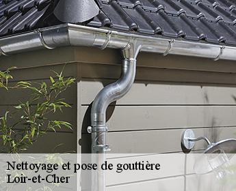 Nettoyage et pose de gouttière Loir-et-Cher 