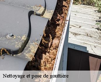 Nettoyage et pose de gouttière Loir-et-Cher 