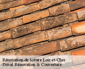 Rénovation de toiture 41 Loir-et-Cher Duval Rénovation & Couverture