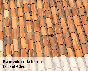 Rénovation de toiture Loir-et-Cher