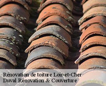 Rénovation de toiture Loir-et-Cher