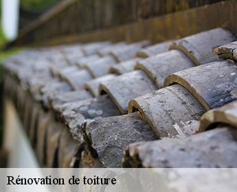 Rénovation de toiture Loir-et-Cher