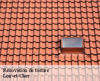 Rénovation de toiture Loir-et-Cher