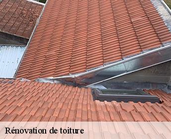 Rénovation de toiture Loir-et-Cher 