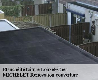 Etanchéité toiture 41 Loir-et-Cher  MICHELET Rénovation couverture