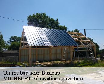 Toiture bac acier  busloup-41160 MICHELET Rénovation couverture