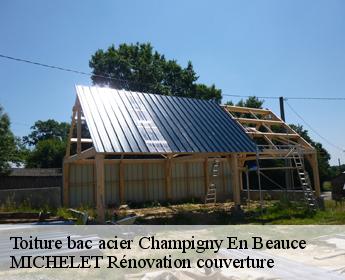 Toiture bac acier  champigny-en-beauce-41330 MICHELET Rénovation couverture