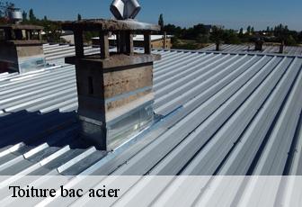 Toiture bac acier  41190