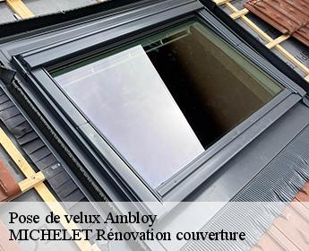 Pose de velux  ambloy-41310 MICHELET Rénovation couverture