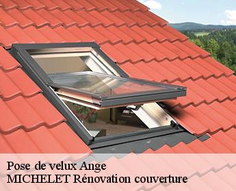 Pose de velux  41400