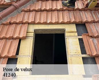 Pose de velux  41240