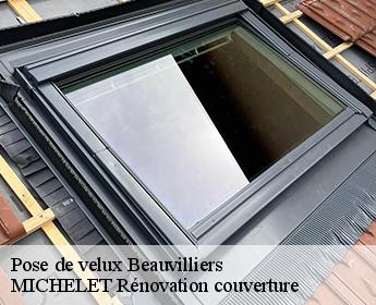 Pose de velux  beauvilliers-41290 MICHELET Rénovation couverture