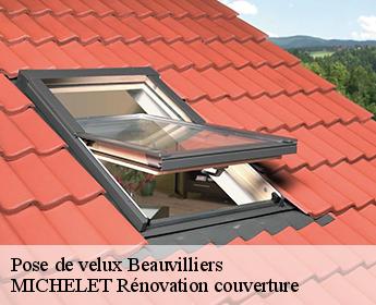 Pose de velux  41290