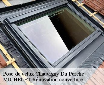 Pose de velux  chauvigny-du-perche-41270 MICHELET Rénovation couverture