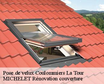 Pose de velux  41100