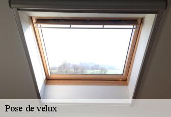 Pose de velux  41360