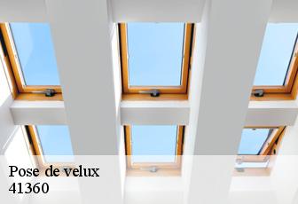 Pose de velux  41360