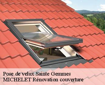 Pose de velux  41290