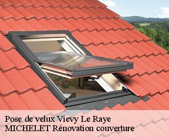 Pose de velux  41290