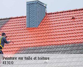 Peinture sur tuile et toiture  41310