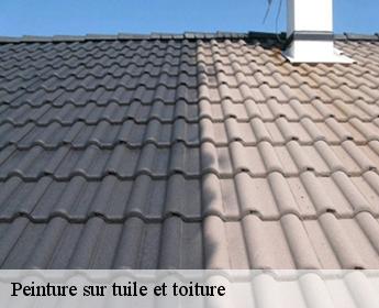 Peinture sur tuile et toiture  41100