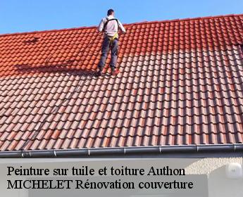 Peinture sur tuile et toiture  authon-41310 MICHELET Rénovation couverture