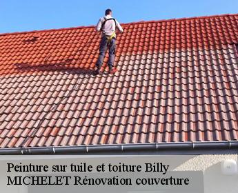 Peinture sur tuile et toiture  billy-41130 MICHELET Rénovation couverture