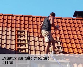 Peinture sur tuile et toiture  41130