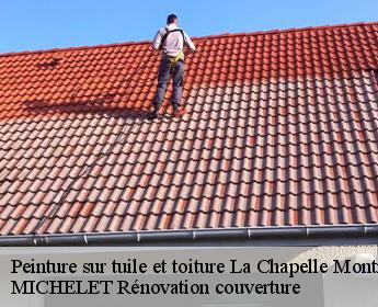 Peinture sur tuile et toiture  la-chapelle-montmartin-41320 MICHELET Rénovation couverture