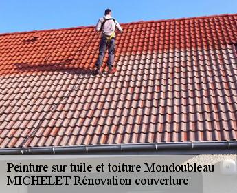 Peinture sur tuile et toiture  mondoubleau-41170 MICHELET Rénovation couverture