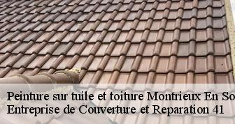 Peinture sur tuile et toiture  41210