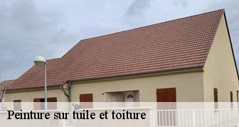 Peinture sur tuile et toiture  41210