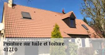 Peinture sur tuile et toiture  41210