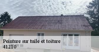 Peinture sur tuile et toiture