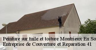 Peinture sur tuile et toiture