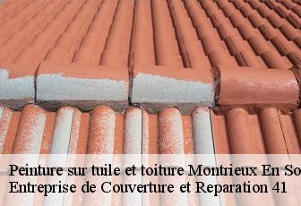 Peinture sur tuile et toiture  montrieux-en-sologne-41210 Entreprise de Couverture et Reparation 41