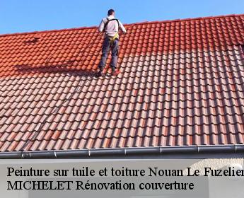 Peinture sur tuile et toiture nouan-le-fuzelier-41600 MICHELET Rénovation couverture