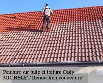 Peinture sur tuile et toiture  oisly-41700 MICHELET Rénovation couverture