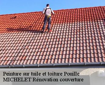 Peinture sur tuile et toiture  pouille-41110 MICHELET Rénovation couverture