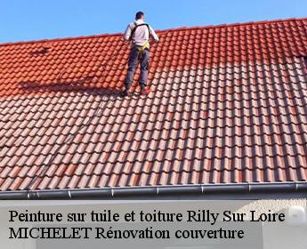 Peinture sur tuile et toiture  rilly-sur-loire-41150 MICHELET Rénovation couverture