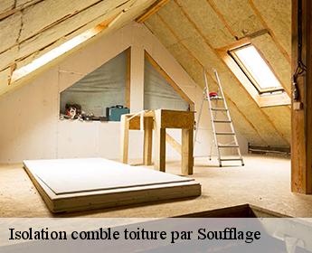 Isolation comble toiture par Soufflage  41400