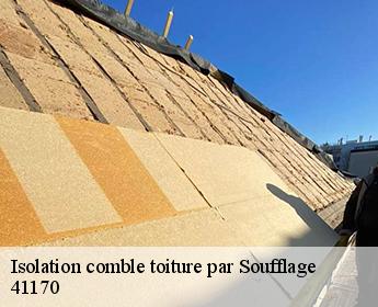 Isolation comble toiture par Soufflage  41170