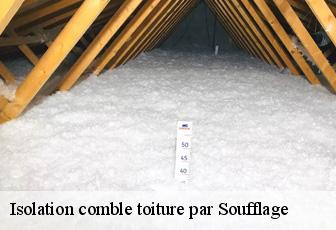 Isolation comble toiture par Soufflage  41120