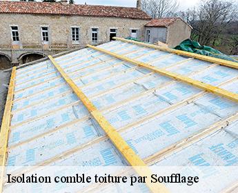 Isolation comble toiture par Soufflage