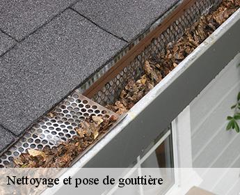 Nettoyage et pose de gouttière