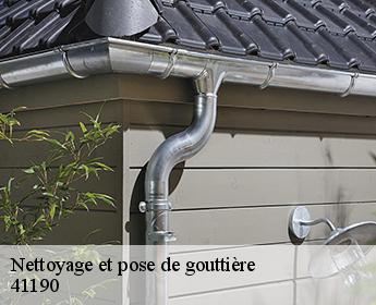 Nettoyage et pose de gouttière 41190